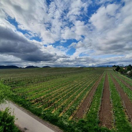 Weinseelig14 Landau in der Pfalz Exterior foto